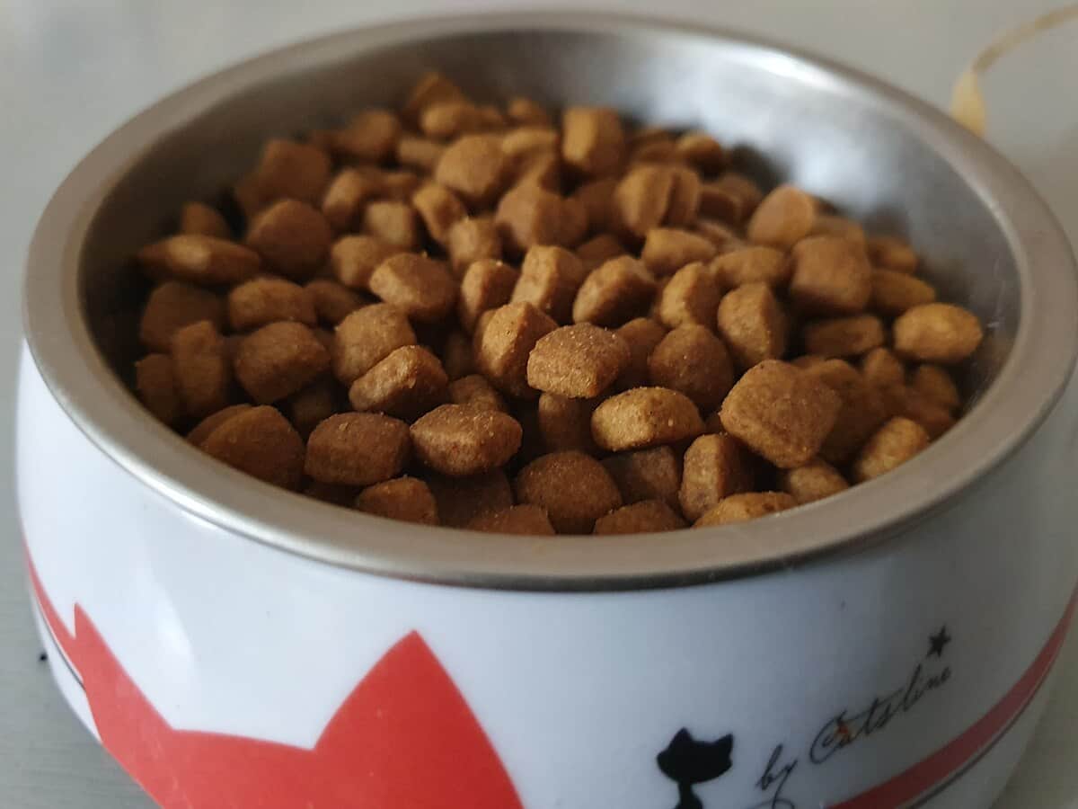 تصویر 4 از غذای گربه رژیمی کم کالری مخصوص گربه های خانگی